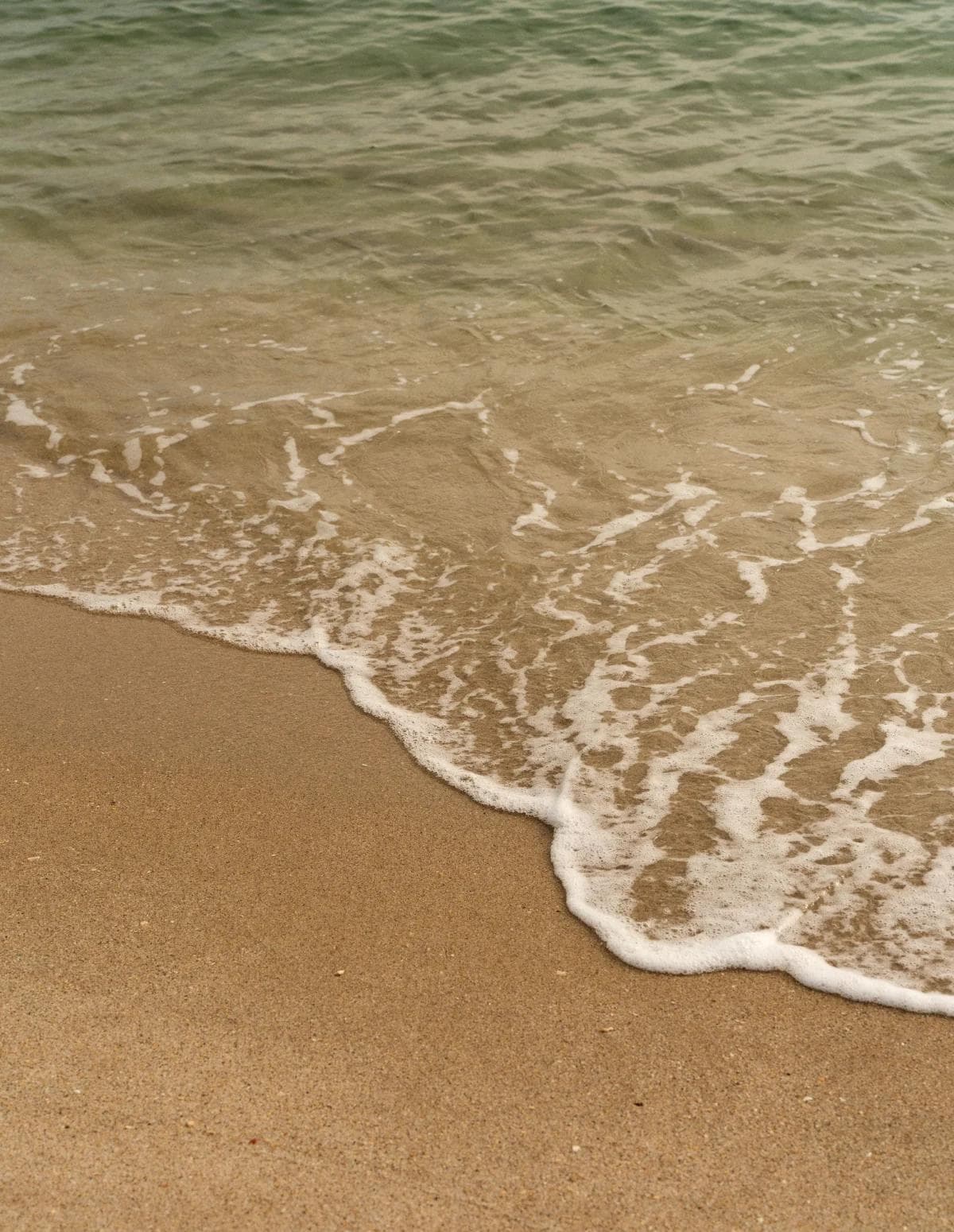 shoreline