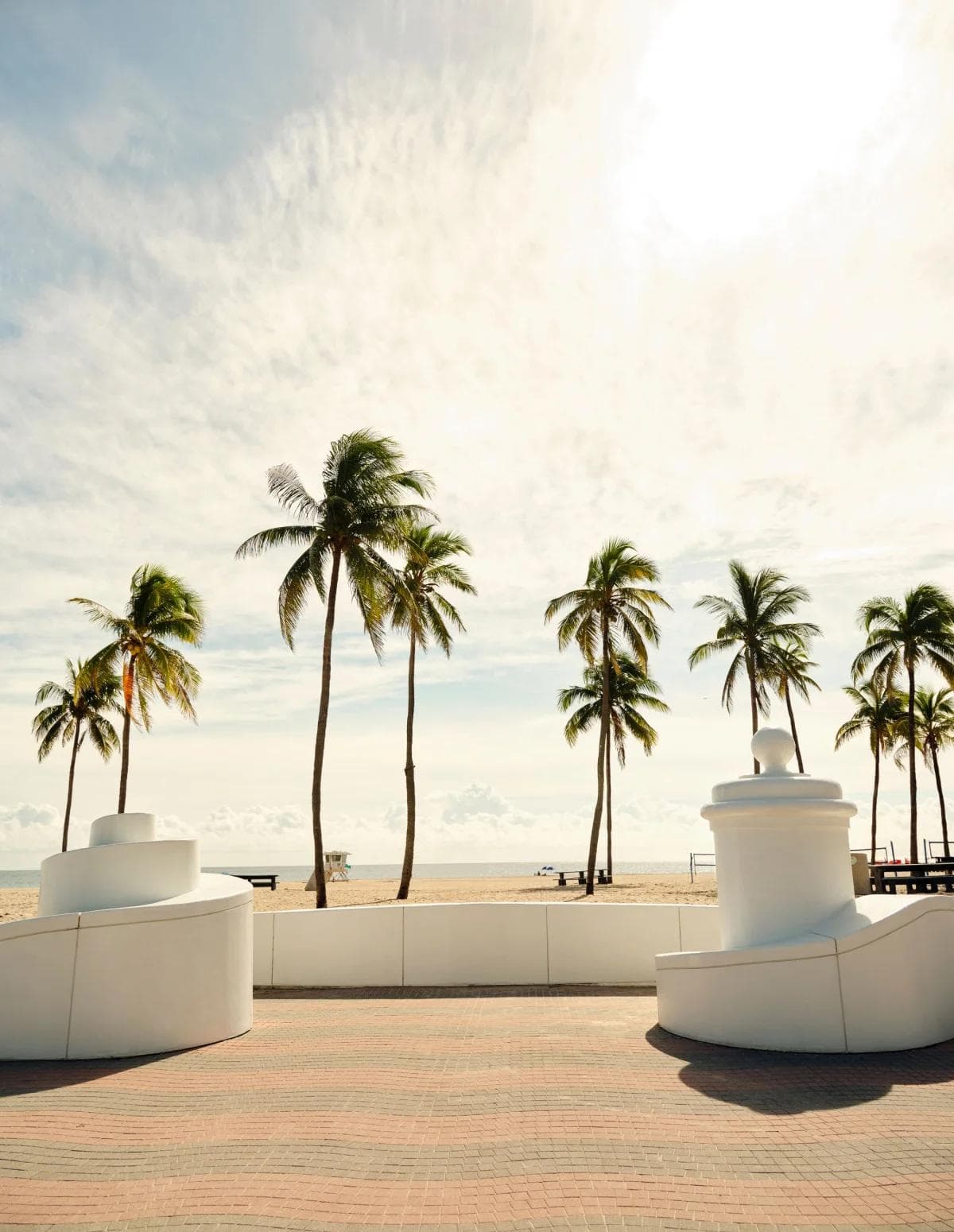 beach view with palm trees